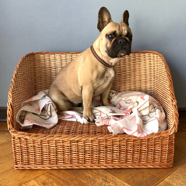 Cama Pipa