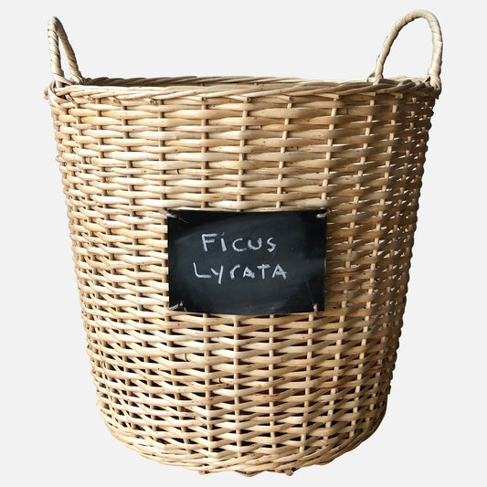 Canasto 48x40 Natural