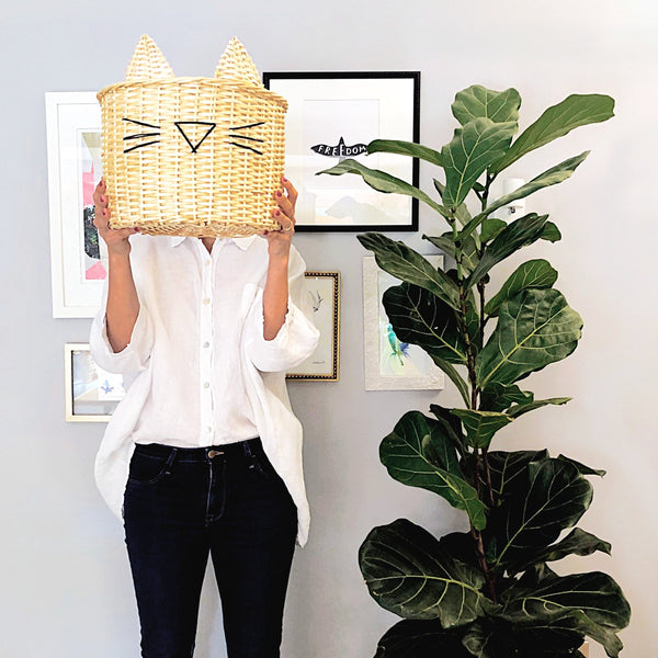 Canasto CAT