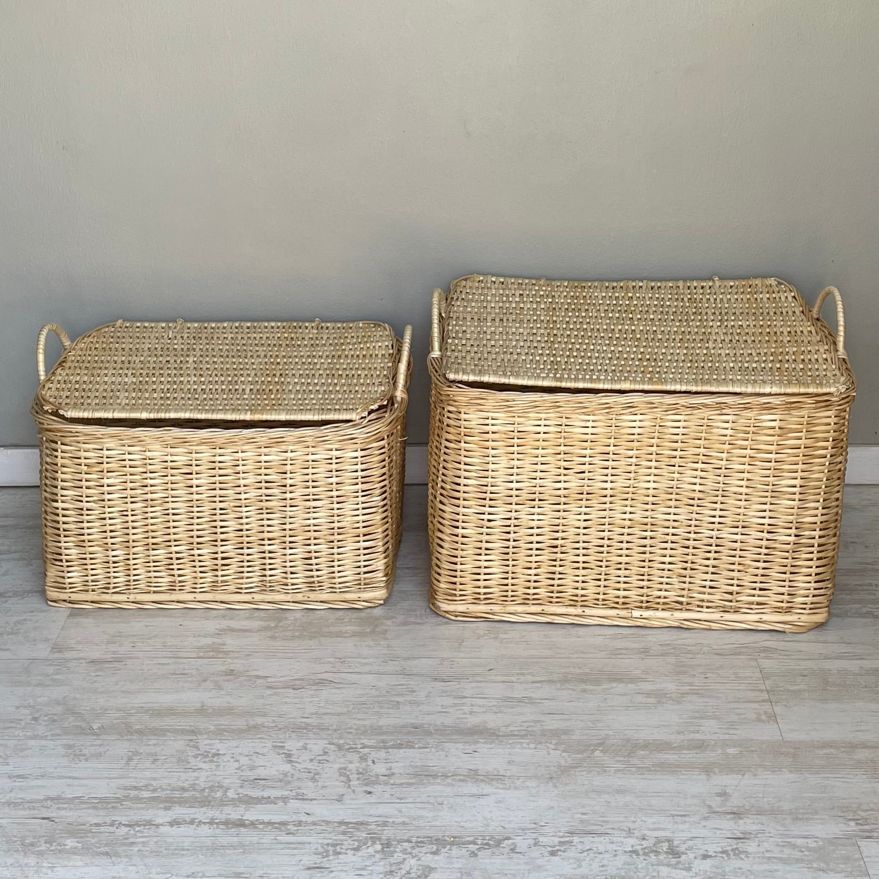 Canasto rectangular con tapa M - micanastodemimbre