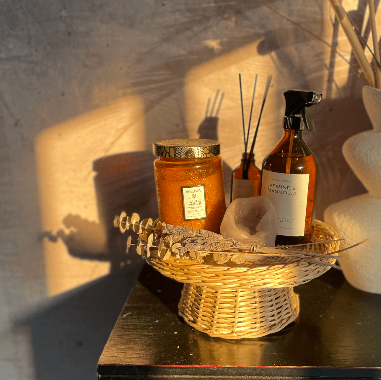 Tortero XS - micanastodemimbre